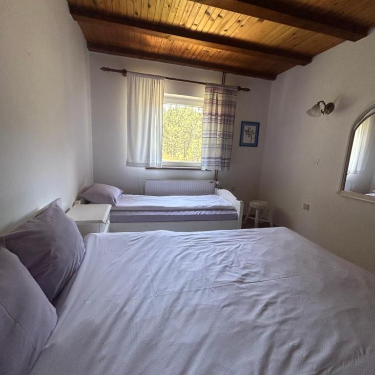 Vila Jela Tornik - Ferienhaus - 25
