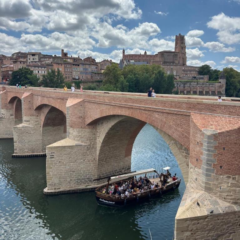 Le Pont Vieux Albi - Premium vue panoramique - Appartement 1 Chambre avec Balcon et Vue sur la Ville - 5