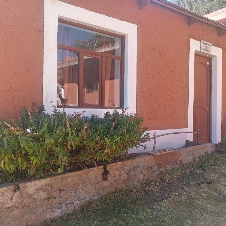 Flor de Sancayo - Apartamento de 1 dormitorio - 1