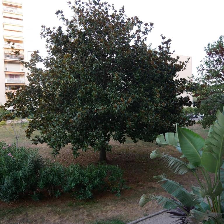 Apparemment Ambroisie - Apartamento de 2 dormitorios - 4