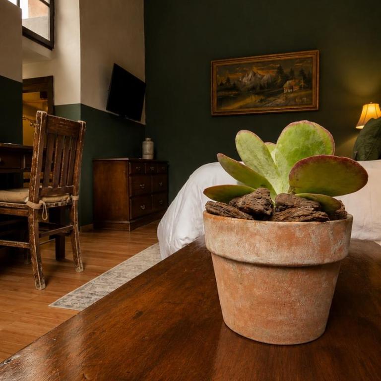 Hacienda Gobernadores Boutique Stay in a Historic 19th-Century Hacienda - Suite con vistas al jardín - 15