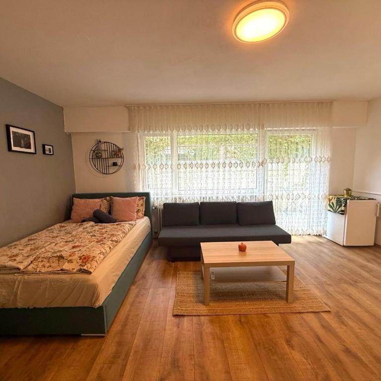 Studio mit Garten - Apartamento de 1 dormitorio - 1