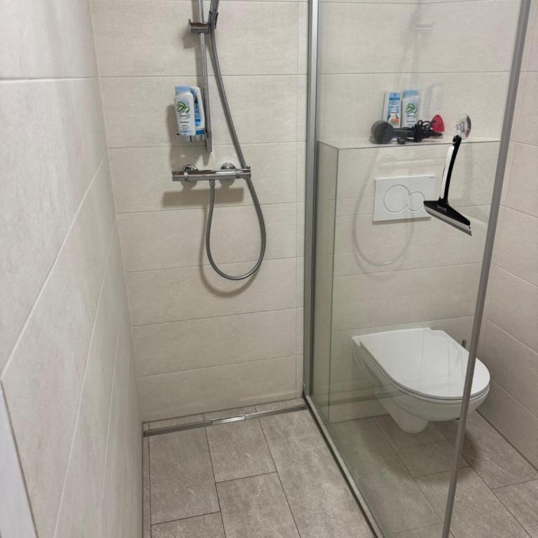 Apartment mit Balkon Kaiser von Österreich - Apartment mit 1 Schlafzimmer - 18