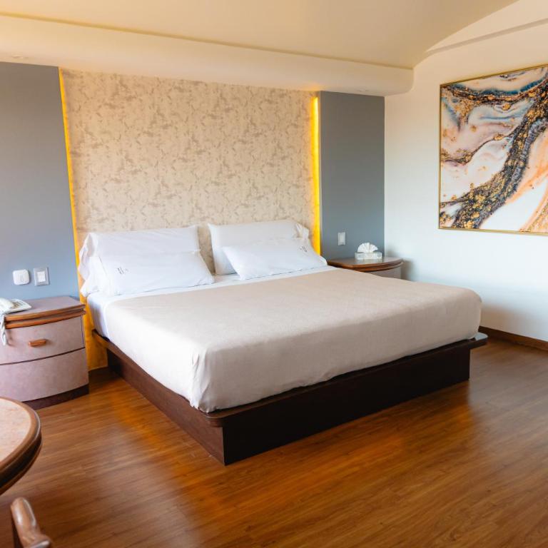 Hotel Franklin - Habitación Deluxe - 1