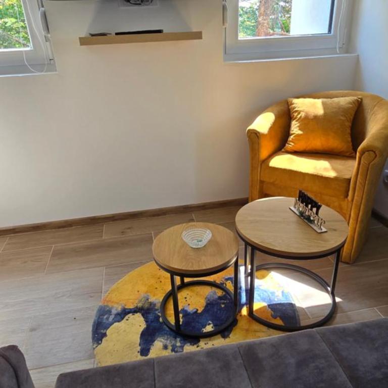 Apartman Tomić - Apartment with Mountain View - 5