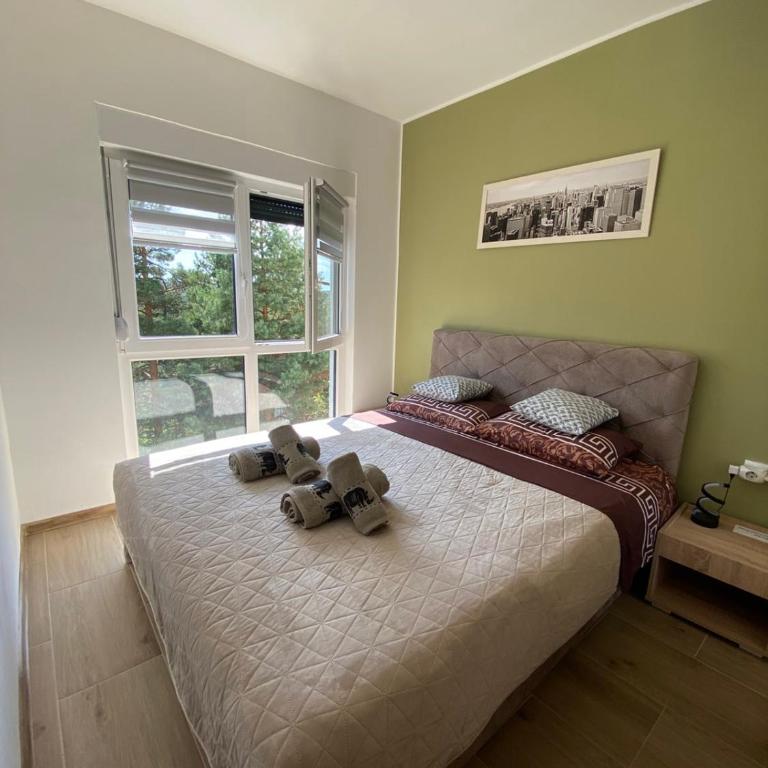 Apartman Tomić - Apartment with Mountain View - 6