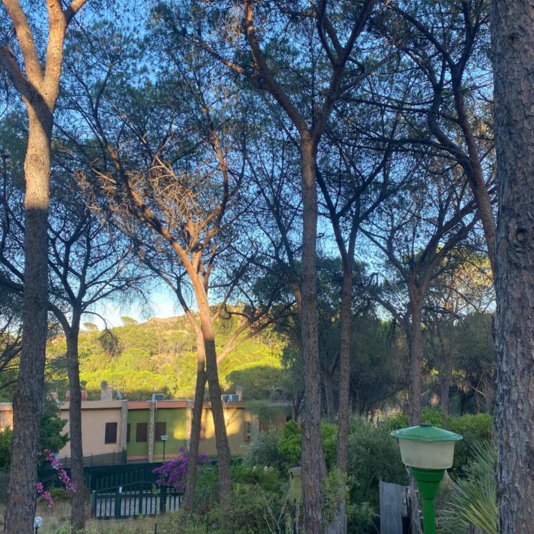 Casa Garau - Appartamento con 2 Camere da Letto - 28