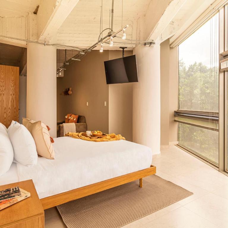 Kukun Insurgentes Roma - Delux Apartment One bedroom Apartment - 5