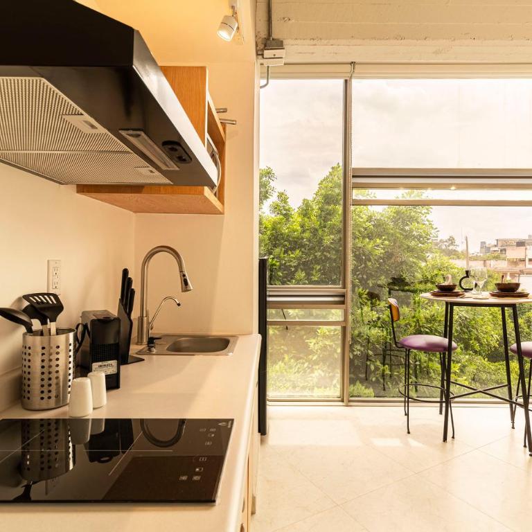 Kukun Insurgentes Roma - Superior One bedroom Apartment with view - 5