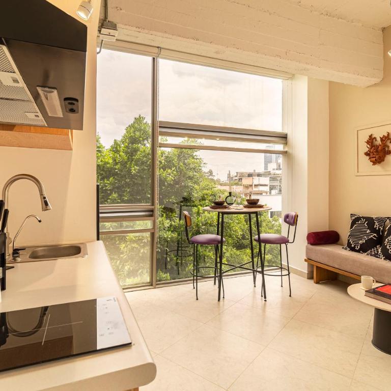 Kukun Insurgentes Roma - Superior One bedroom Apartment with view - 11