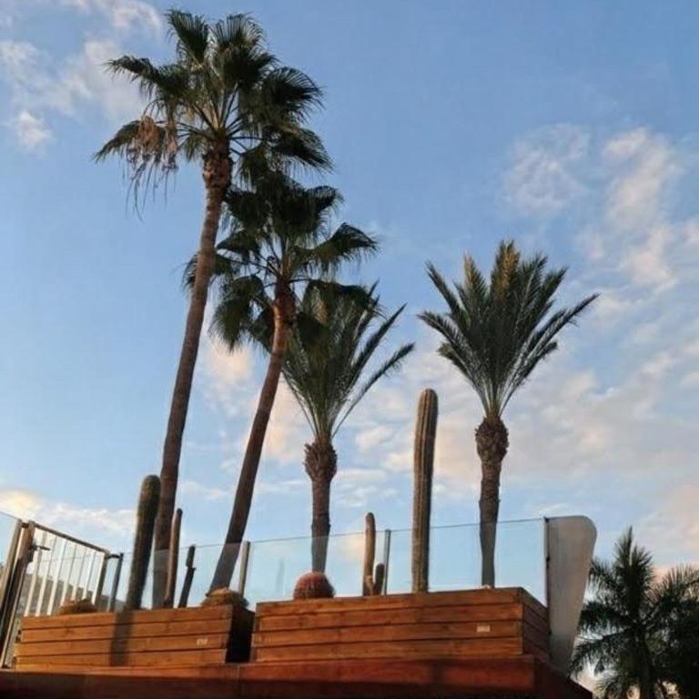 Tenerife Dream 005 - Apartamento de 2 dormitorios - 25