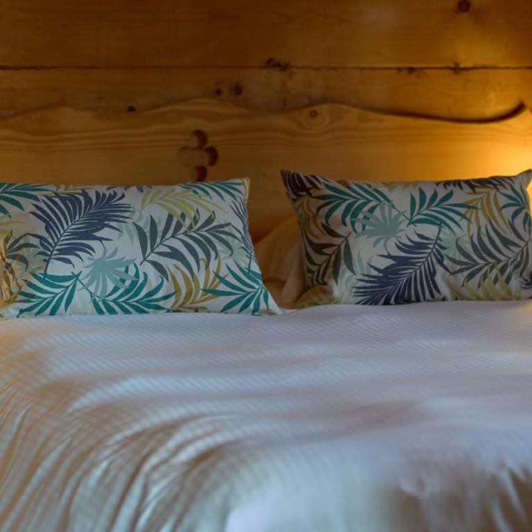 Le Petit Skieur B&B - Chalet Supérieur - 3