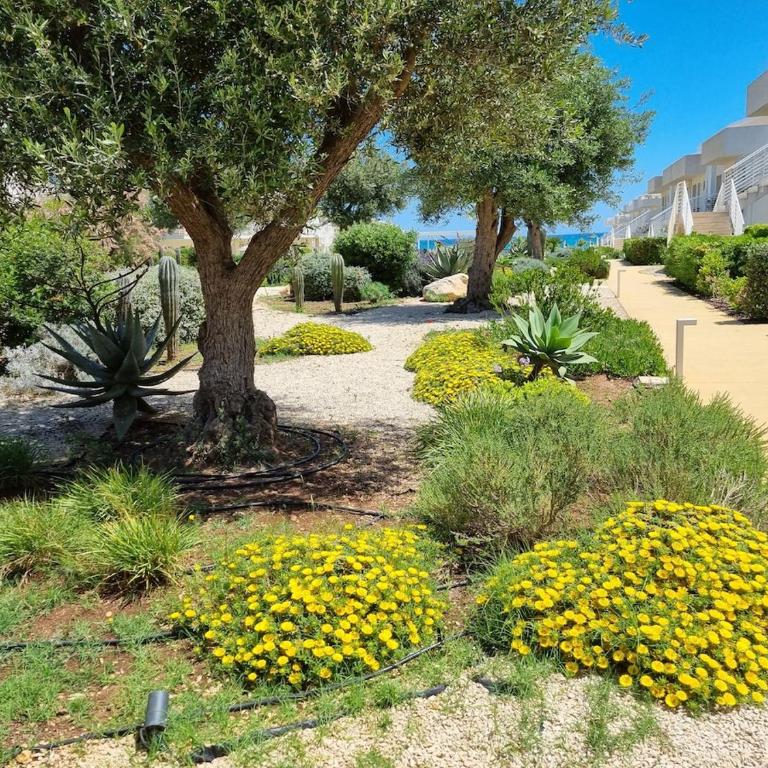 Dimora Calafarina Marzamemi - Appartamento con 1 Camera da Letto - 8