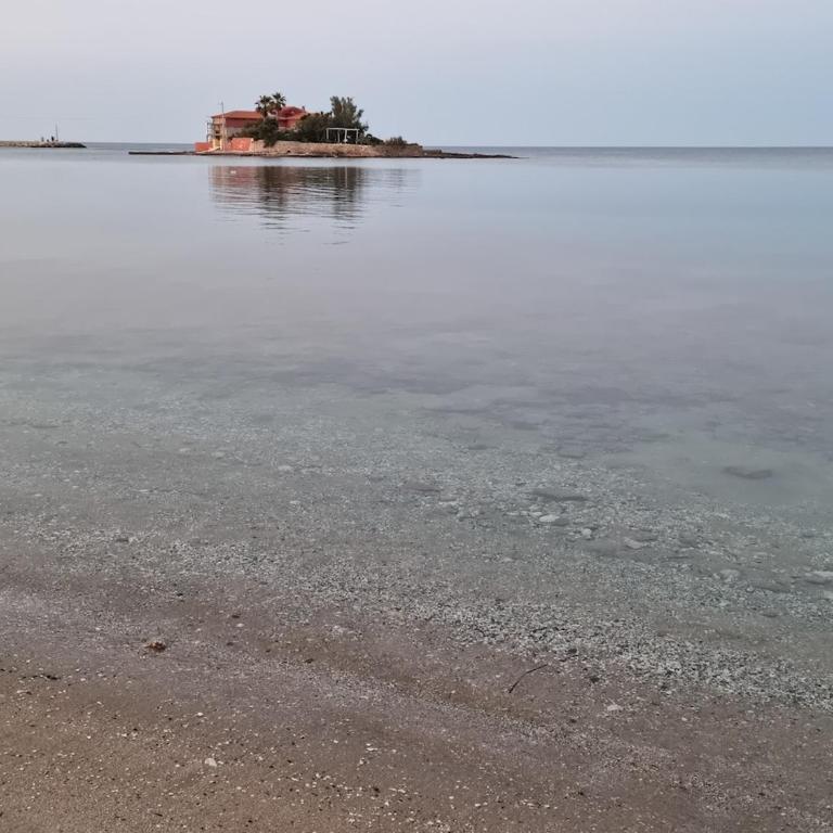 Dimora Calafarina Marzamemi - Appartamento con 1 Camera da Letto - 56