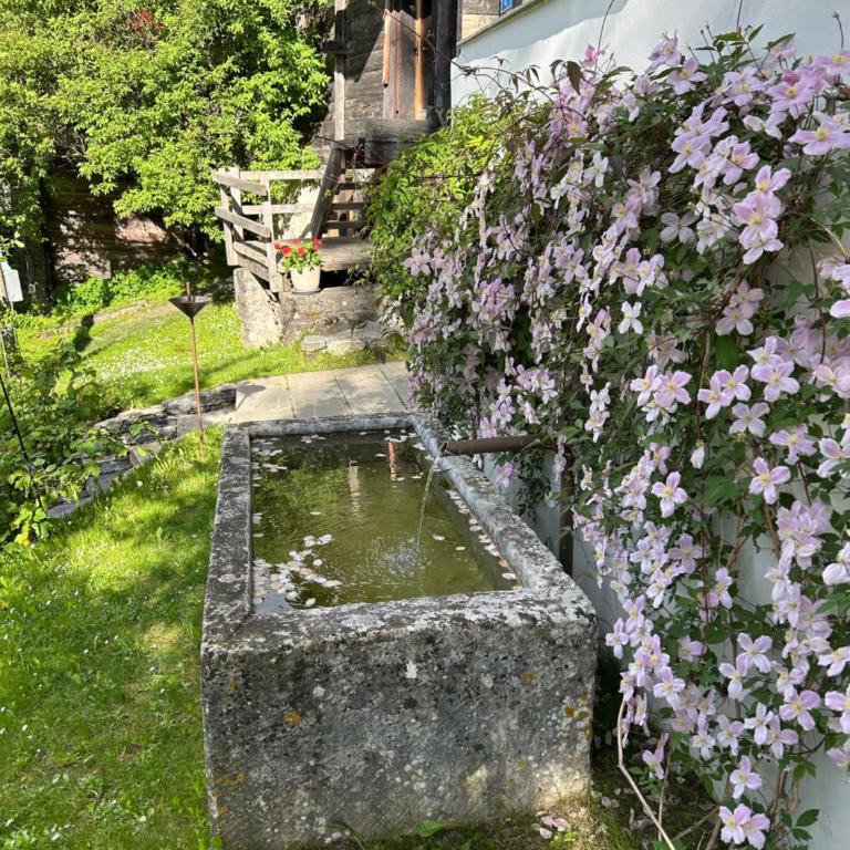 Aabäsizz 300-jähriges Walliserhaus - Ferienhaus mit 4 Zimmern - 2