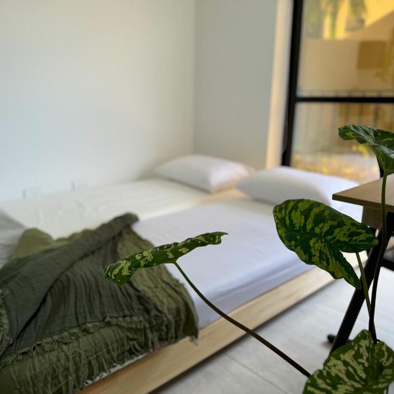  - Room #1714000301 - 16