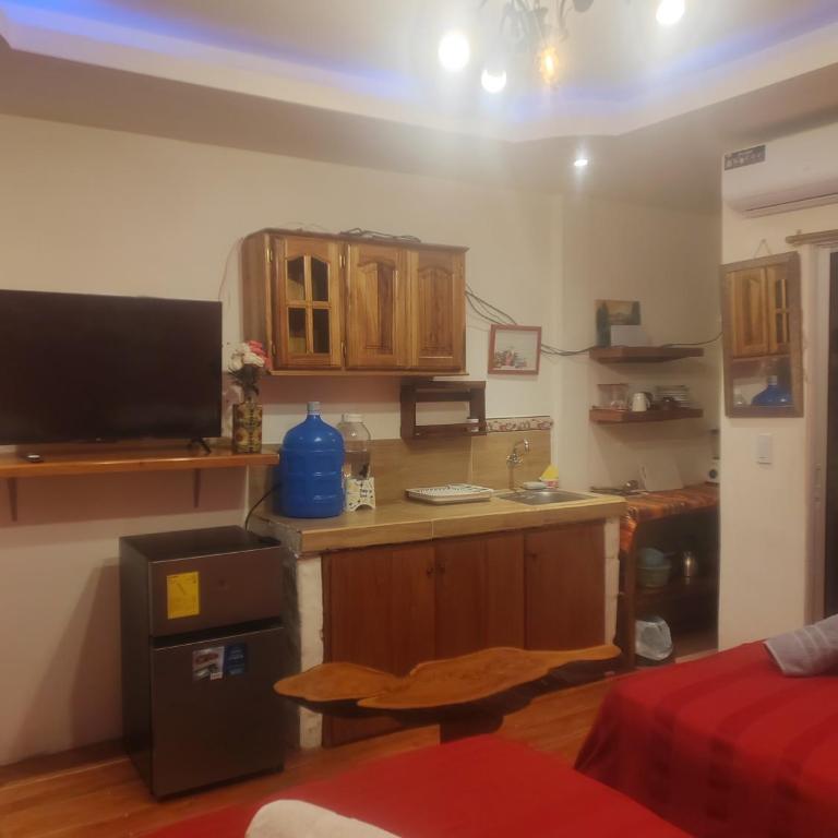 Hostal Cabañas Don Jorge - Habitación Doble Deluxe (2 adultos + 1 niño) - 13