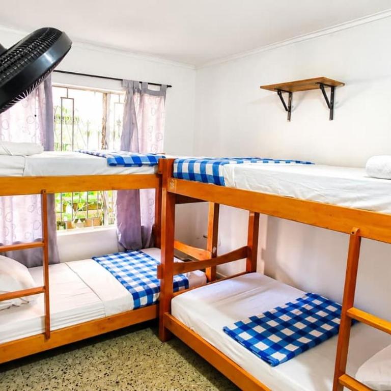 Absolute Nova Hotel - Bed in 4-Bed Dormitory Room - 1