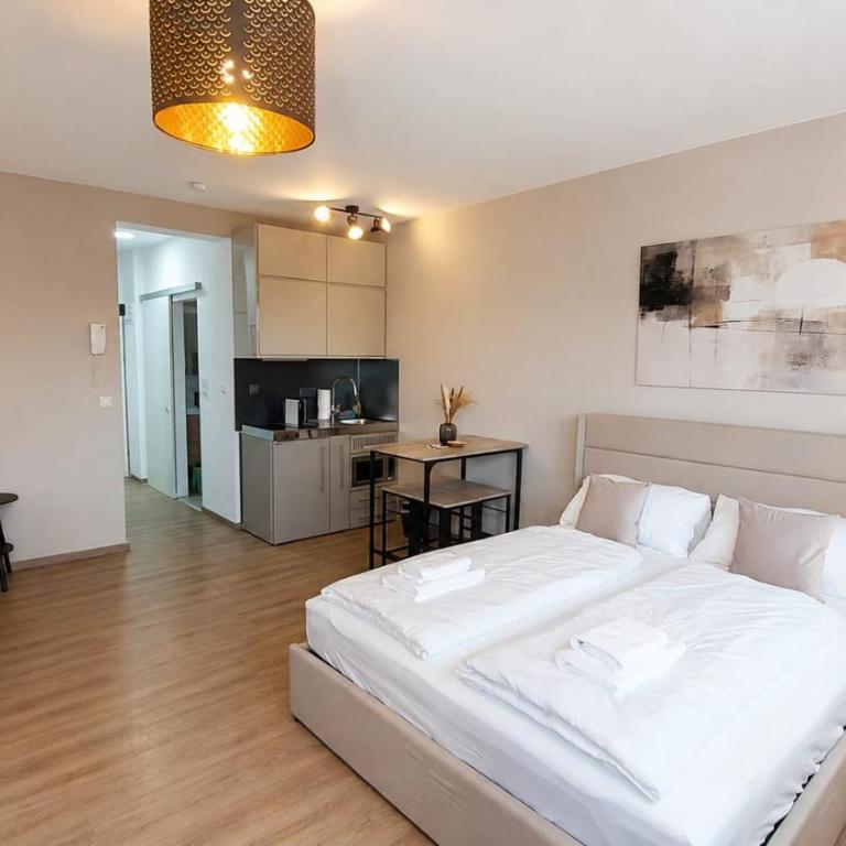 LINZ BASE STUDIO Business and Leisure, City Center - Apartment mit 1 Schlafzimmer - 10
