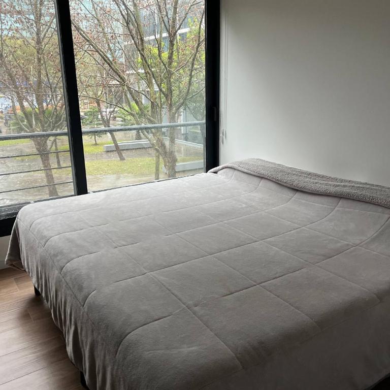 Pchela Dept - Apartamento de 1 dormitorio - 8