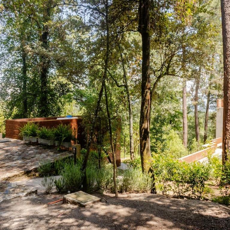 Casa entre los árboles con jacuzzi en Cerro Gordo - Casa - 40