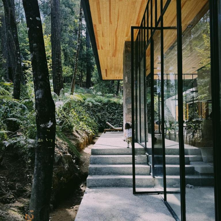 Casa entre los árboles con jacuzzi en Cerro Gordo - Casa - 45