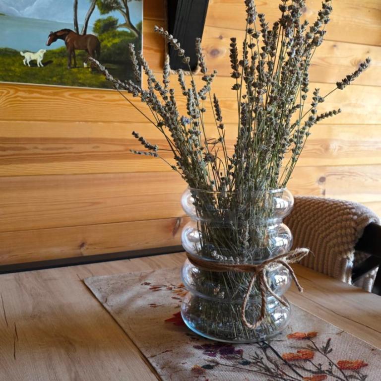 Cottage MATEJ - Brvnara sa 1 Spavaćom Sobom - 20