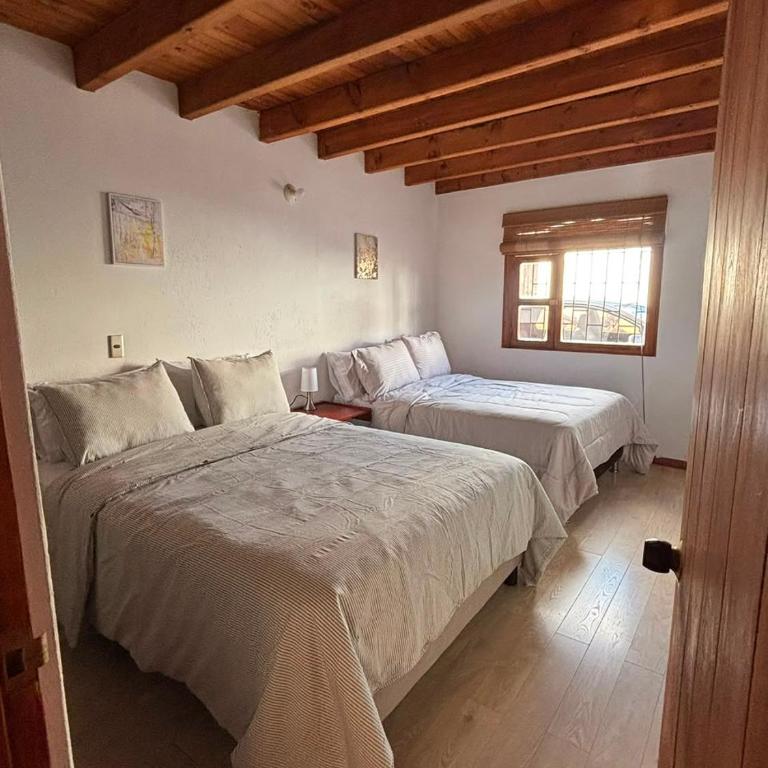 - Room #1714052901 - 19