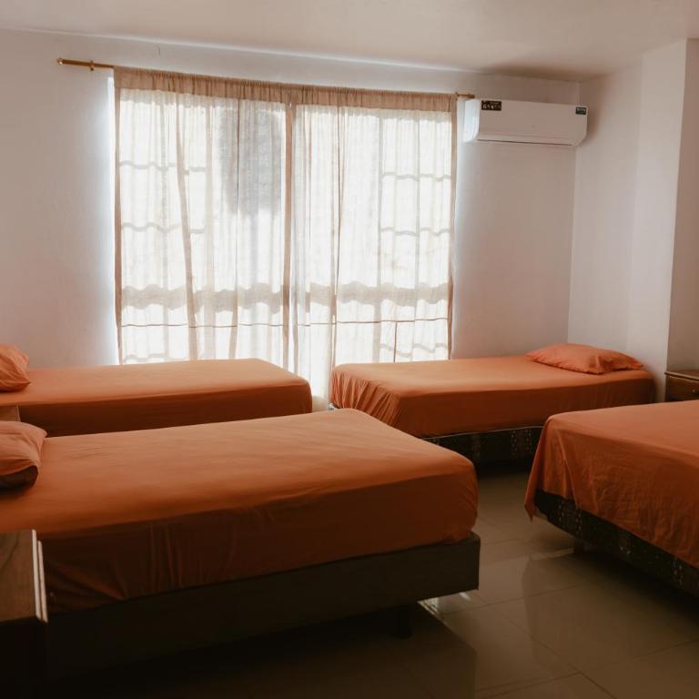PELICAN TOURS - Room #954260809 - 1