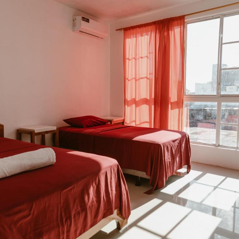 PELICAN TOURS - Room #954260808 - 1