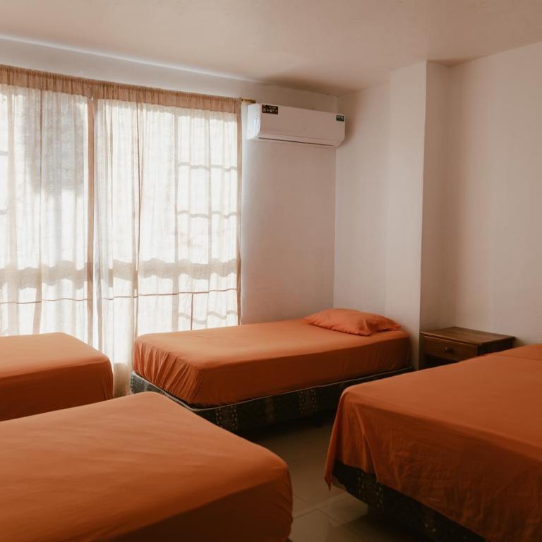PELICAN TOURS - Room #954260809 - 2
