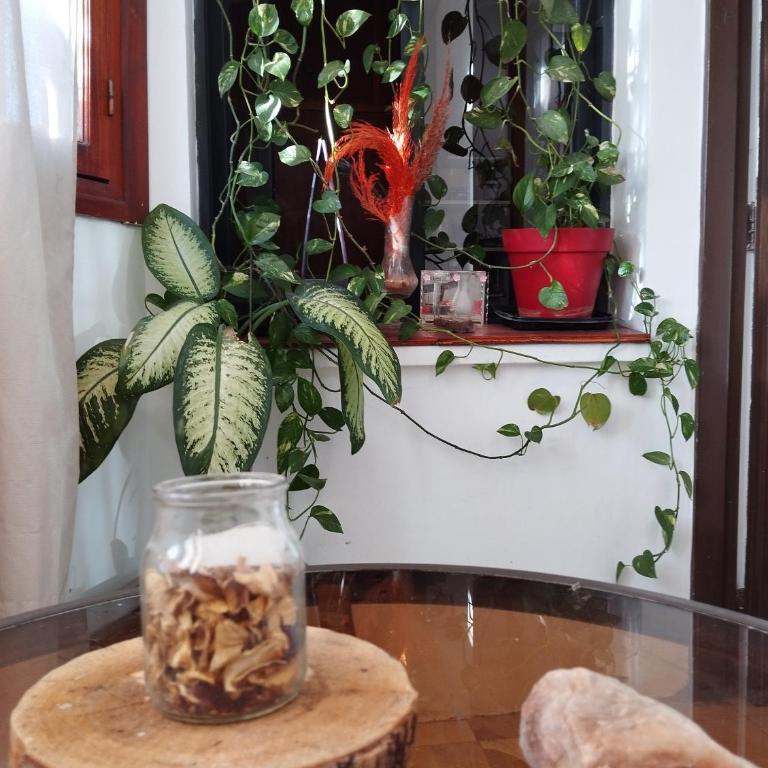 Depto cómodo por Av Libertador - Two-Bedroom Apartment with Balcony - 39