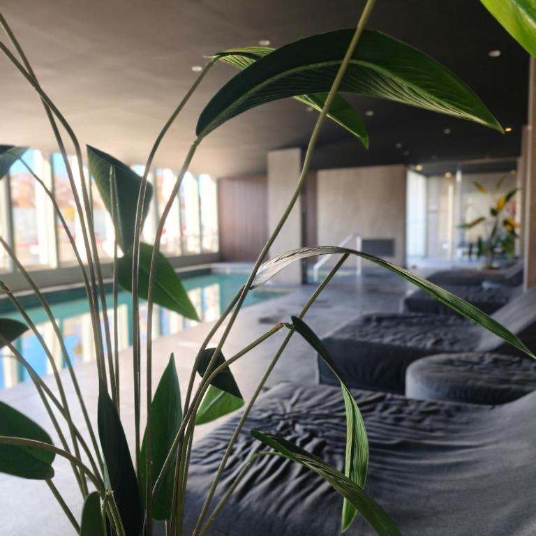 Departamento Premiun Buenos Aires, piscina climatizada, gym, sauna, Quartier Privé - Apartamento de 1 dormitorio - 29