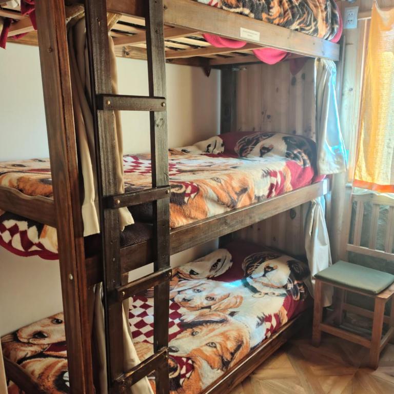 Hostel Andino - Cama en habitación compartida mixta de 4 camas - 4
