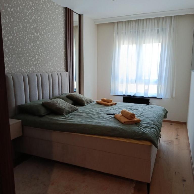  - Room #1714213801 - 4