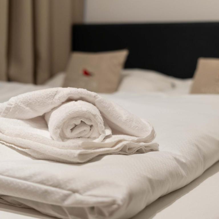 KUCKUCK Hinterthal by we rent, Hochkönig Card included - Apartment - Ground Floor - 10