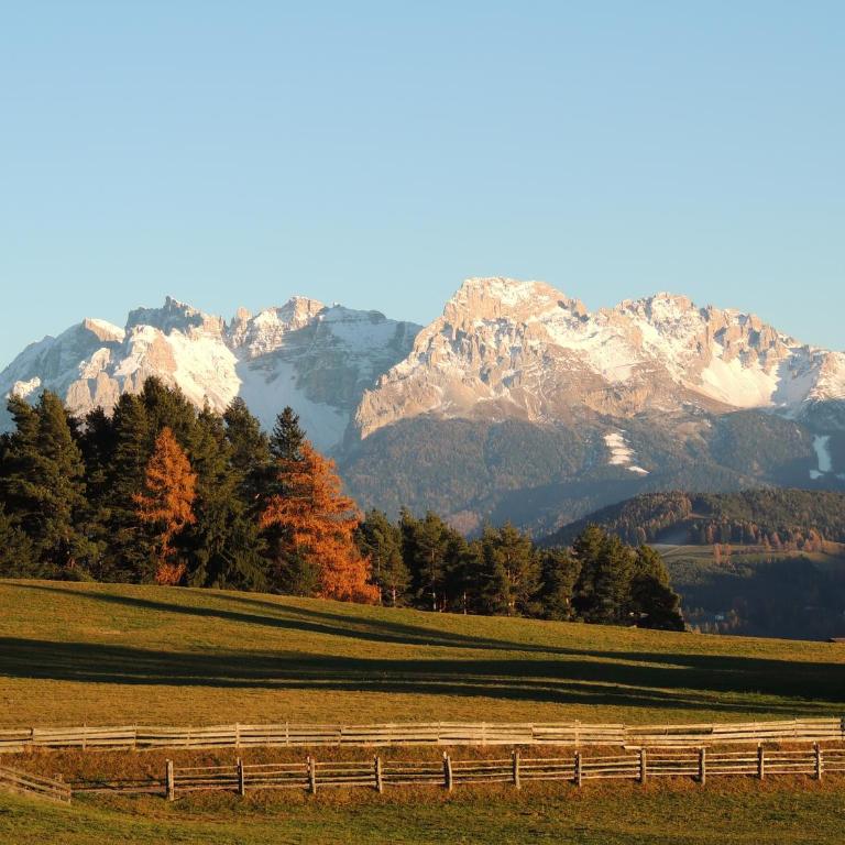Schadnerhof - Appartamento con 1 Camera da Letto - 4