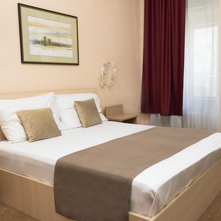 Hotel Vojvodina - Dvokrevetna Soba sa Bračnim Krevetom - 4