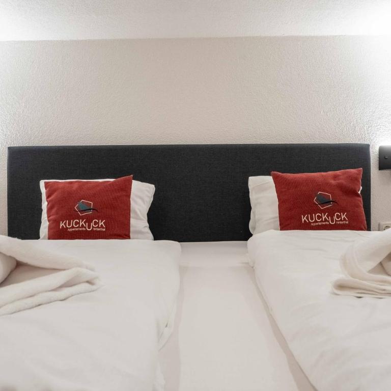 KUCKUCK Hinterthal by we rent, Hochkönig Card included - Three-Bedroom Apartment with Balcony - 21