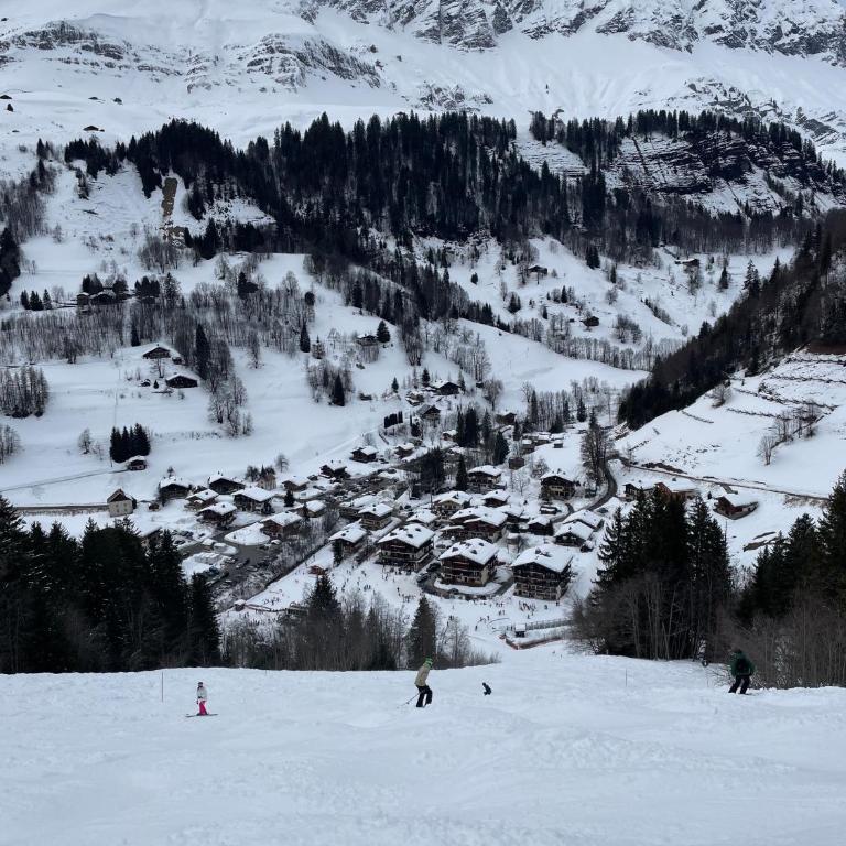 Appart T3 cosy cœur La Giettaz - Appartement 2 Chambres avec Vue sur la Montagne - 29