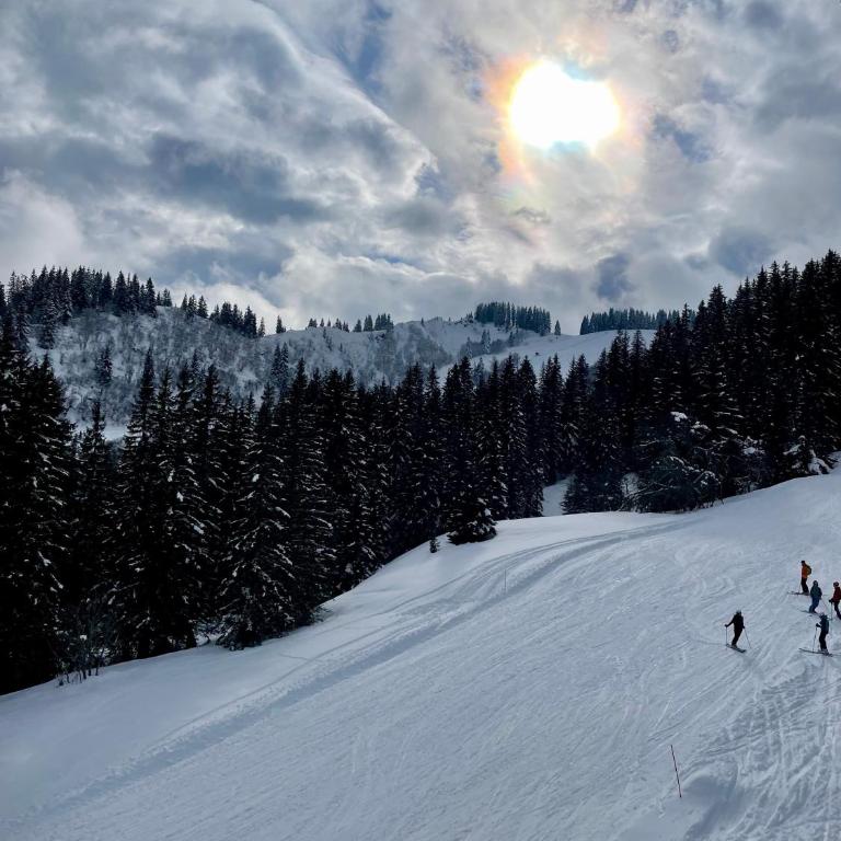 Appart T3 cosy cœur La Giettaz - Appartement 2 Chambres avec Vue sur la Montagne - 30
