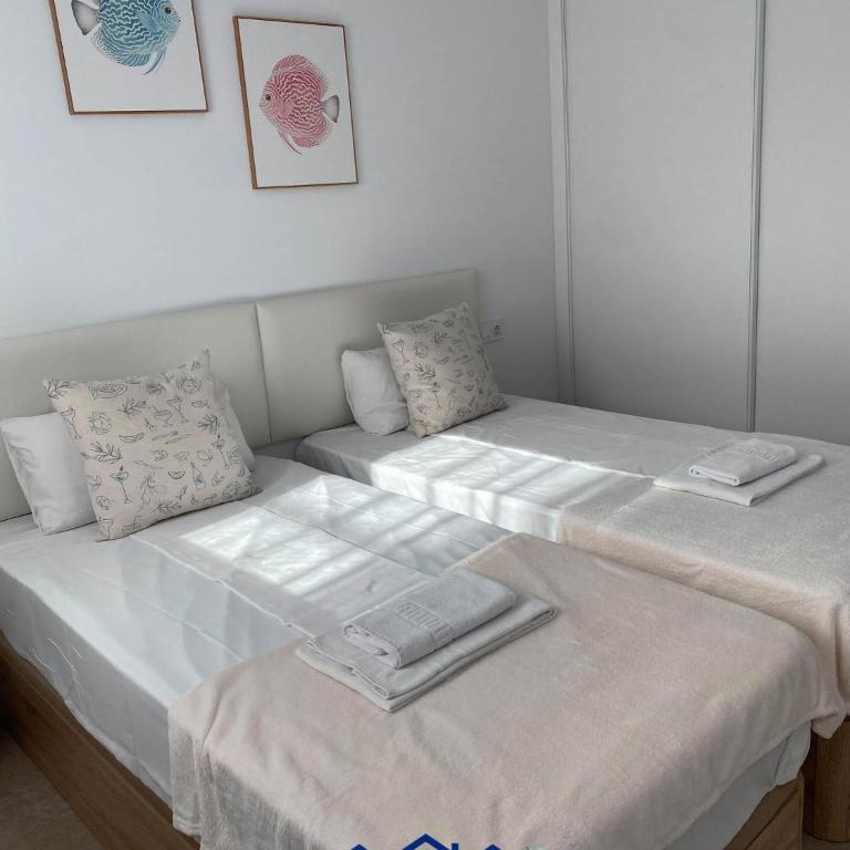 Serpentine Seasky - Apartamento con vistas a la ciudad - 6