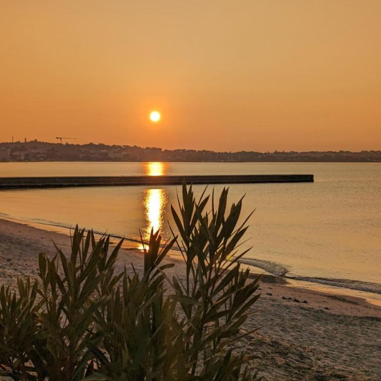 Very well-located apartment in Golfe Juan with a locked garage - Appartement 1 Chambre - 5