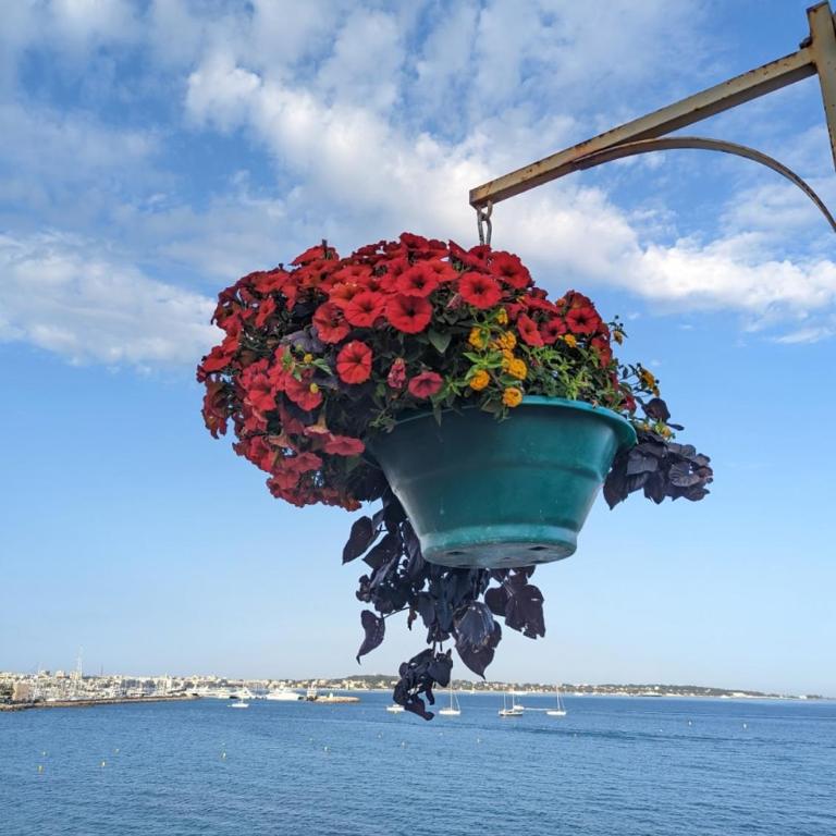 Very well-located apartment in Golfe Juan with a locked garage - Appartement 1 Chambre - 12