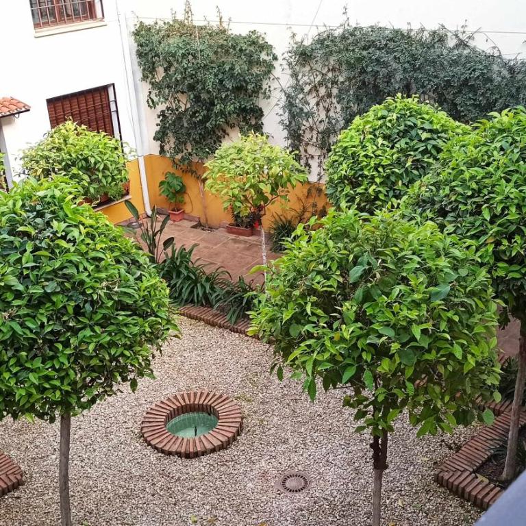 La Taifa dúplex Mezquita Catedral - Appartement 1 Chambre - 10