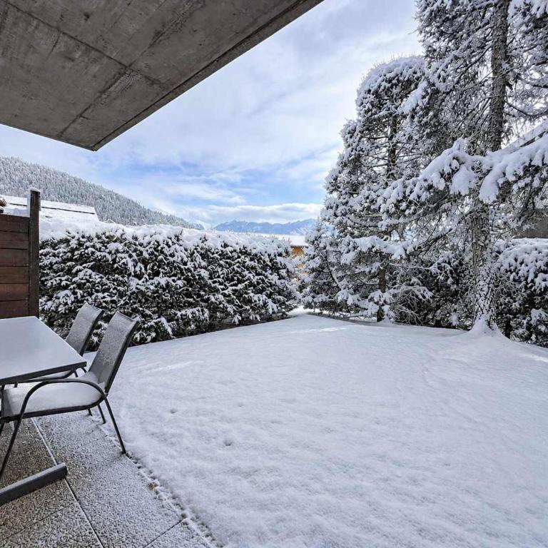 Andrea 051 Charming 2 bedrooms apartment on the ground floor with a big terrace - Appartement - 12