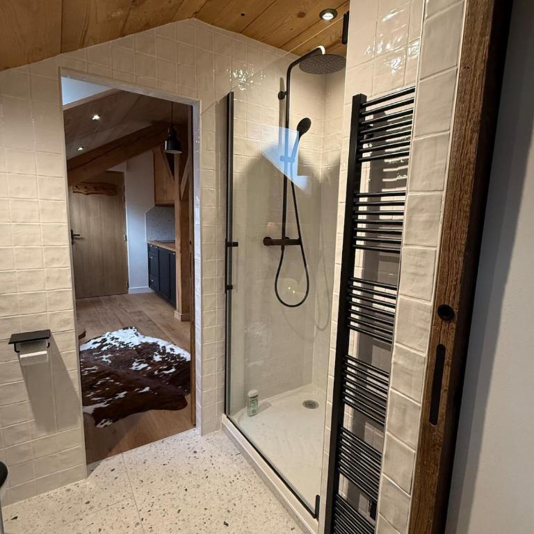 Alpine haven , 1 bedroom ,Very central, 300 m from Chamonix - Appartement 1 Chambre - 3
