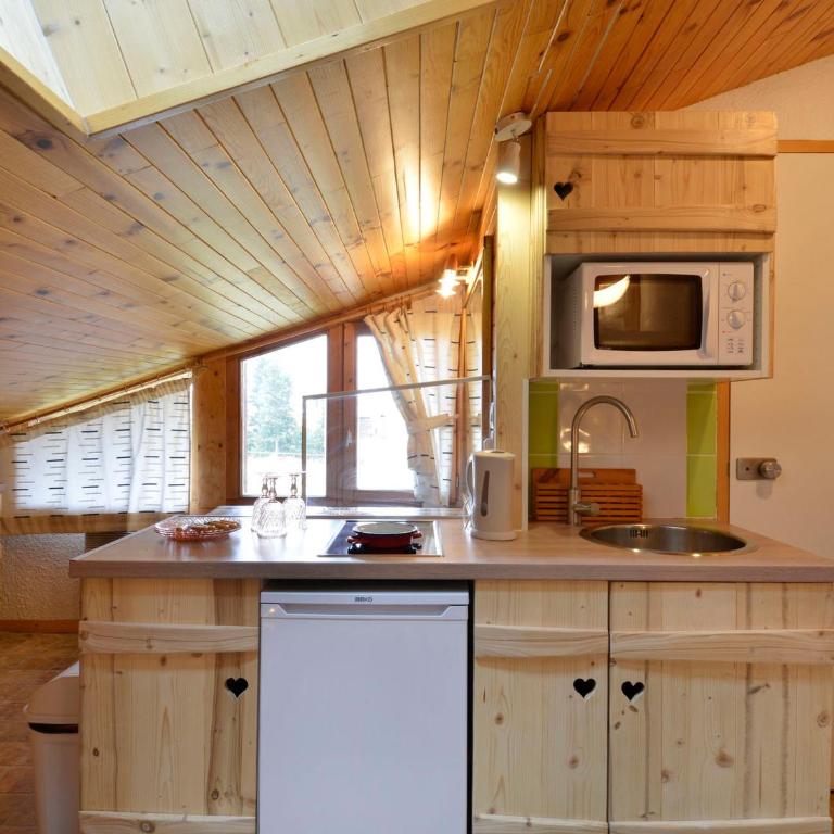 Studio chaleureux, ski aux pieds, animaux admis - Studio - 1