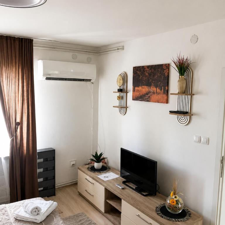 Apartmani Nana - Apartman sa 1 Spavaćom Sobom - 10