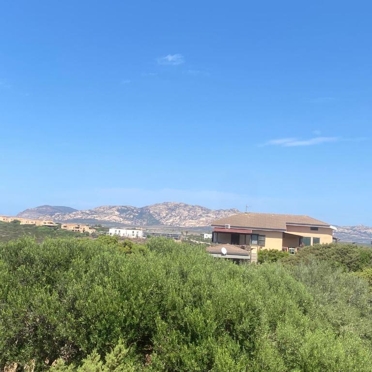 Stintino Asinara View Apartment - Appartamento con 1 Camera da Letto - 15